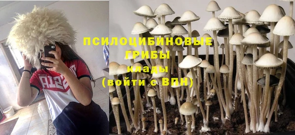 круглые Абаза