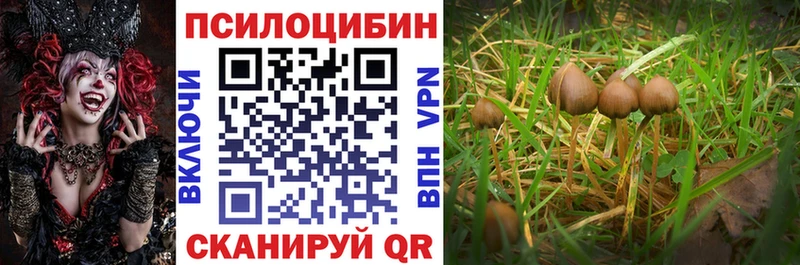 Псилоцибиновые грибы GOLDEN TEACHER где купить наркотик Слюдянка