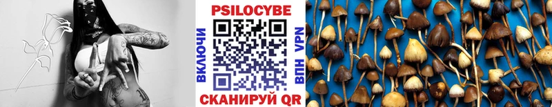 Галлюциногенные грибы мухоморы Слюдянка